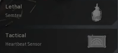 Nickmercs Warzone Loadout Lethal
