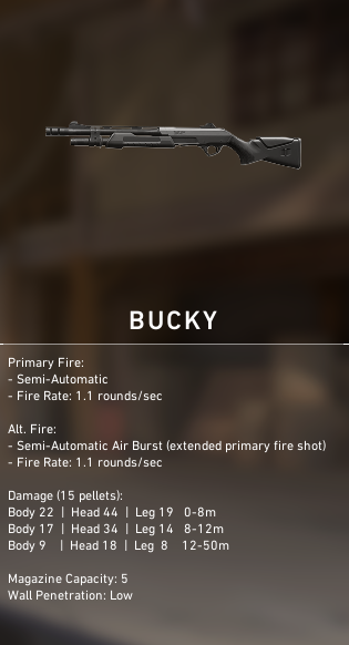 VALORANT Bucky Shotgun