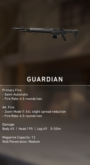 Valorant Guardian Rifle