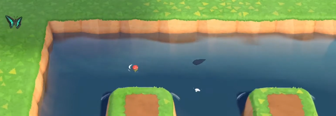 How to Catch a Frog | Animal Crossing New Horizons | Shadow Size | Pond