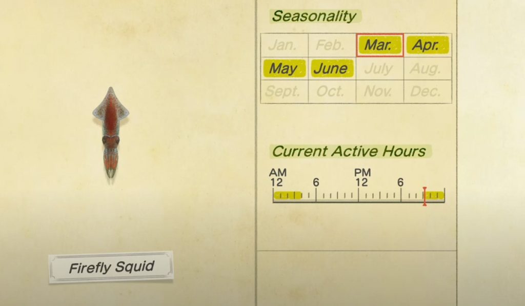 How to catch a Firefly Squid in Animal Crossing New Horizon