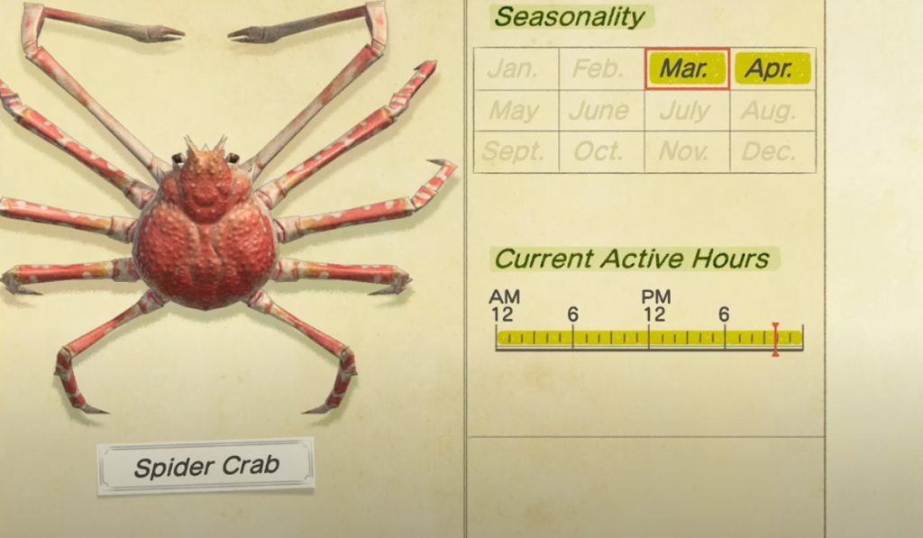 How to catch a Spider Crab in Animal Crossing New Horizons