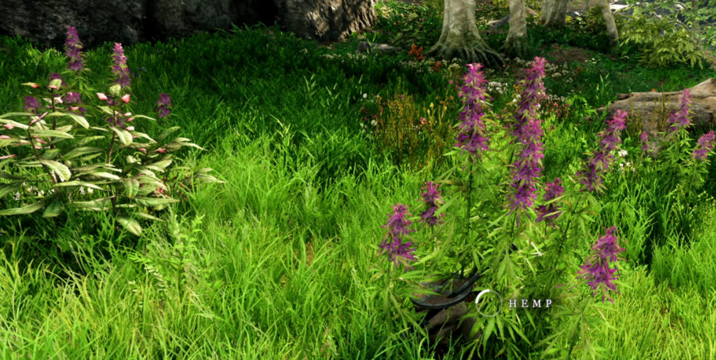 Where to find fibers in new world