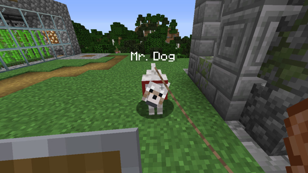 How to Get a Name Tag in Minecraft
