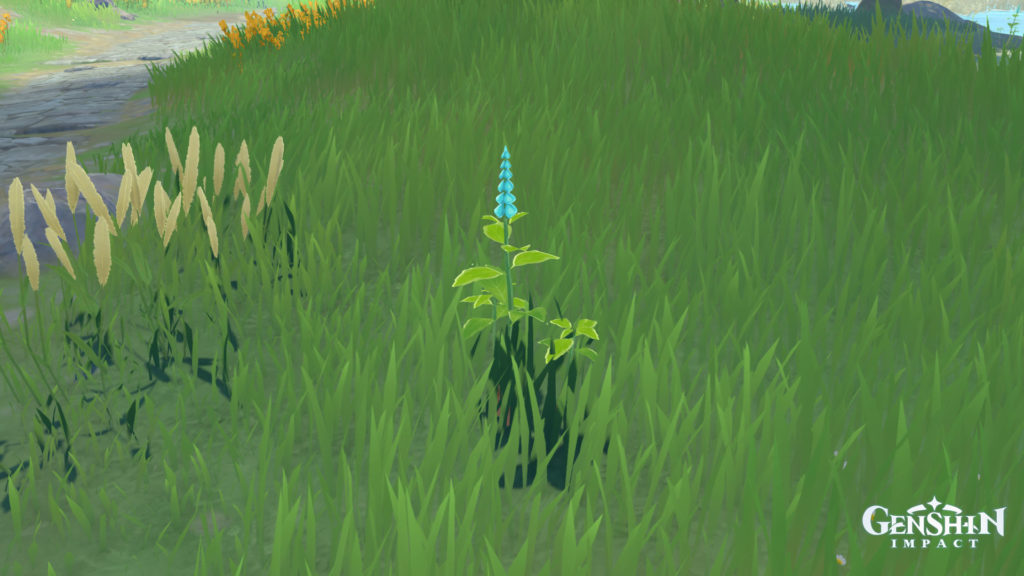 Where to find Mint in Genshin Impact