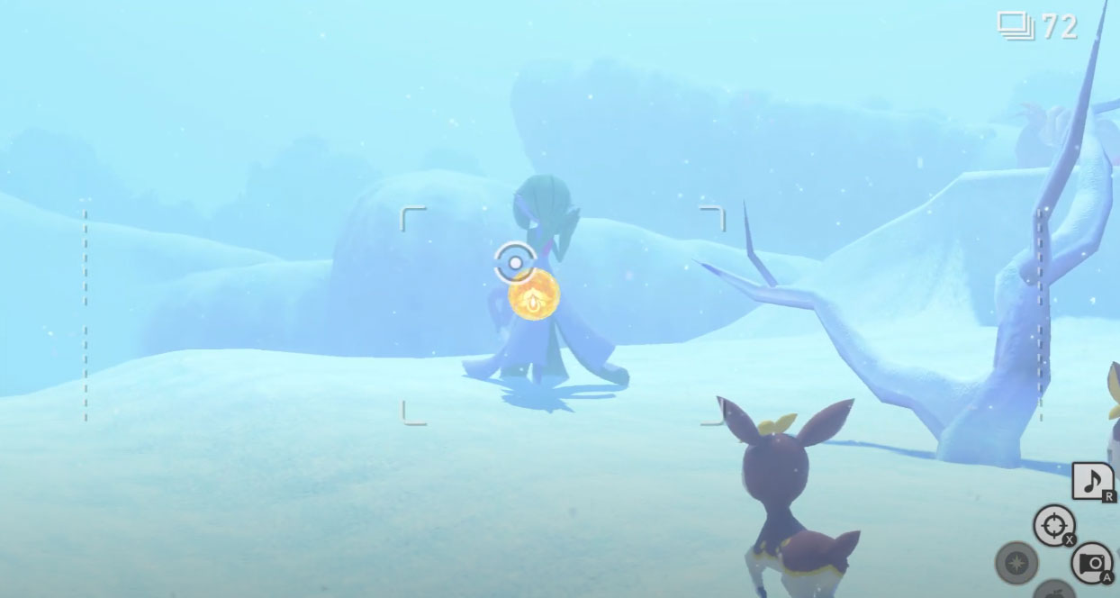 Nouveau Pokemon Snap: Winter Wonders Request Étape 3
