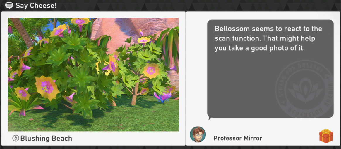 New Pokemon Snap Blushing Beach Day Requests - Say Cheese