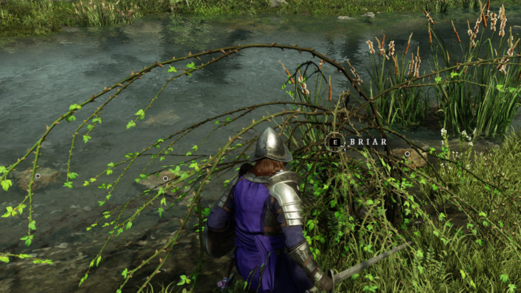 Where to find Briar in New World Gamer Journalist
