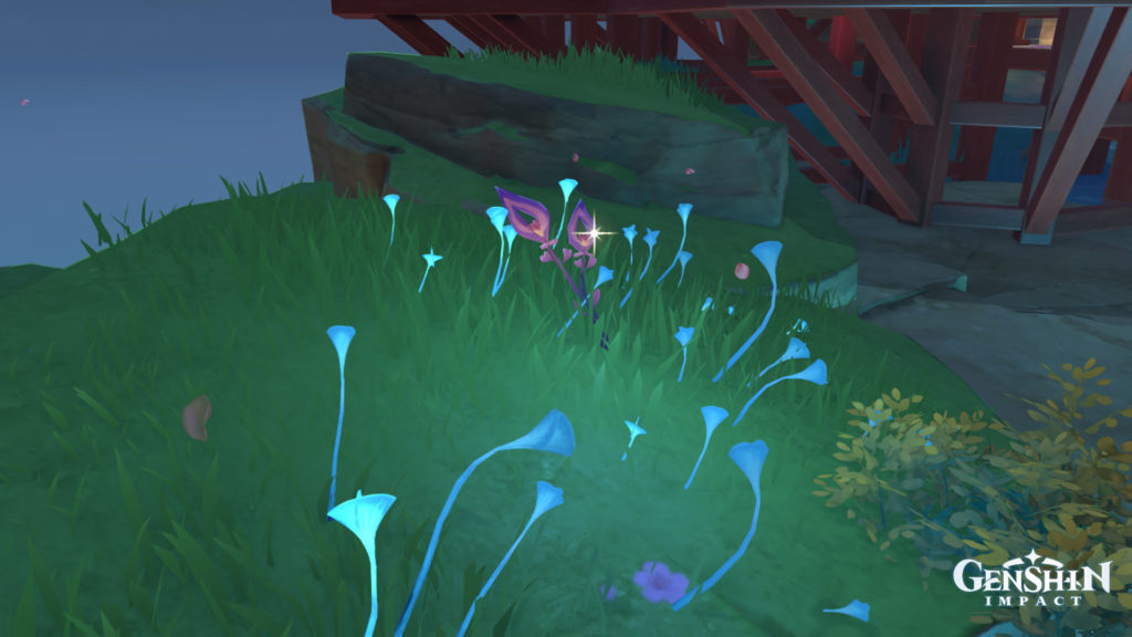 Where to find Naku Weed in Genshin Impact