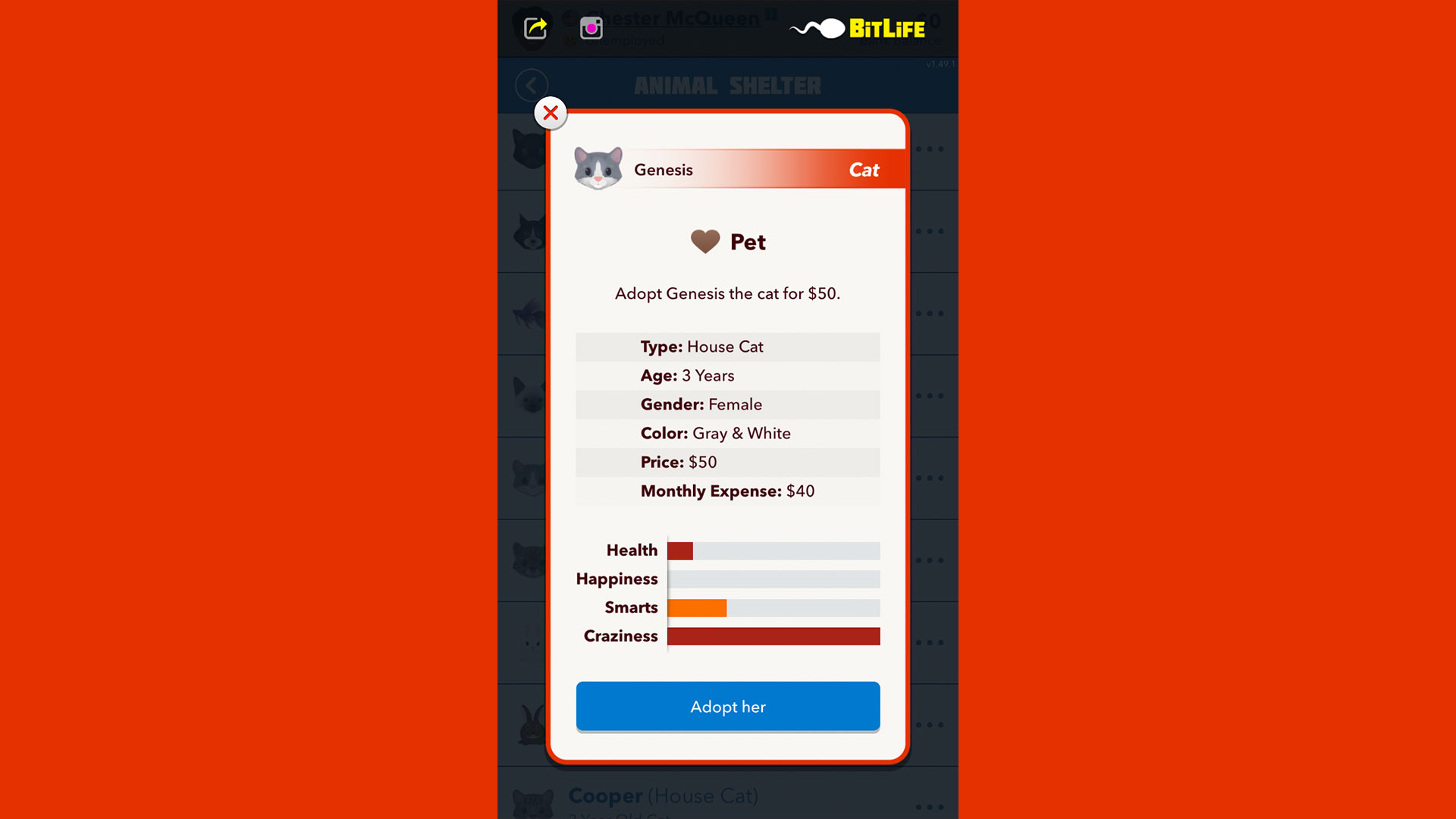 How to get a Crazy Cat in BitLife - Gamer Journalist