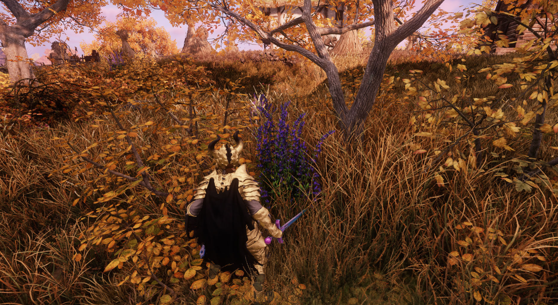 New World Herb Plants