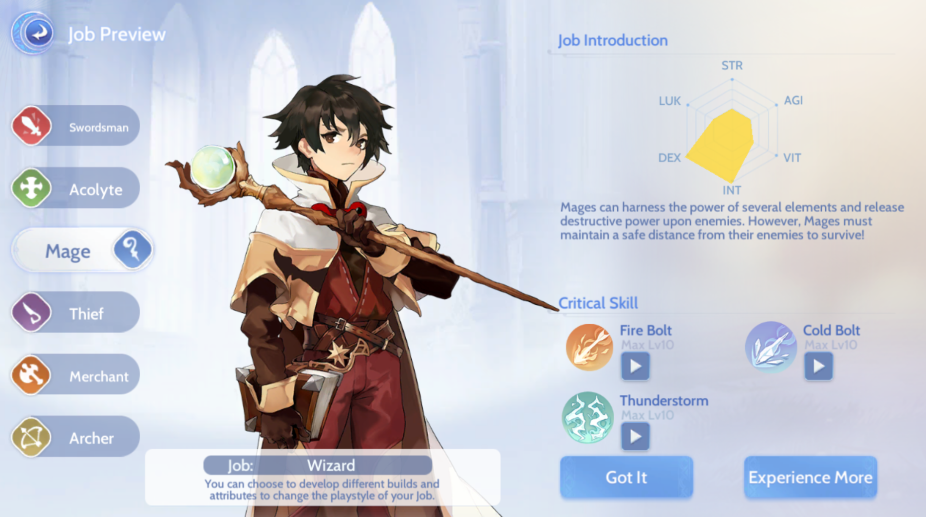 Mage - Wizard
