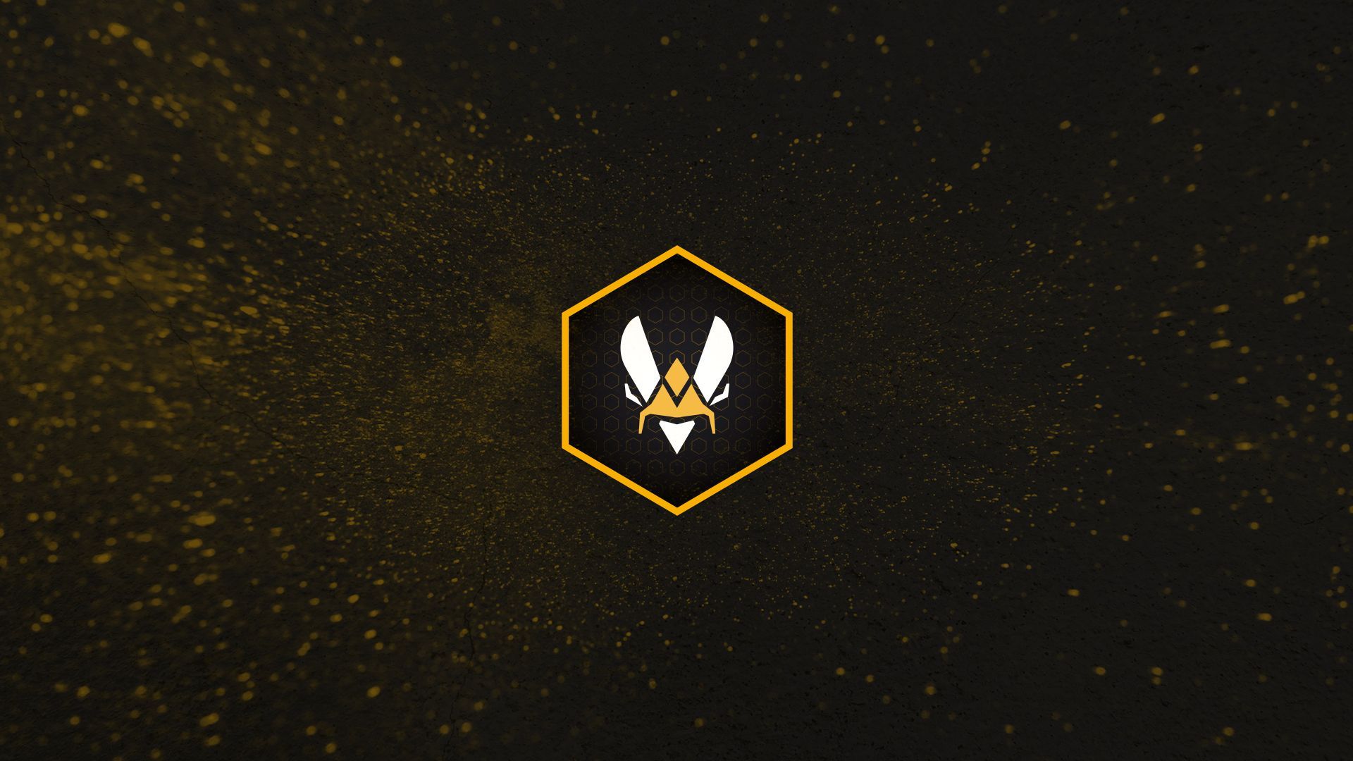 Vitality CSGO