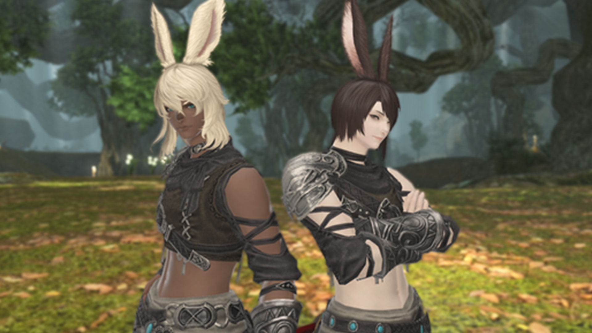FFXIV 6.0 patch notes