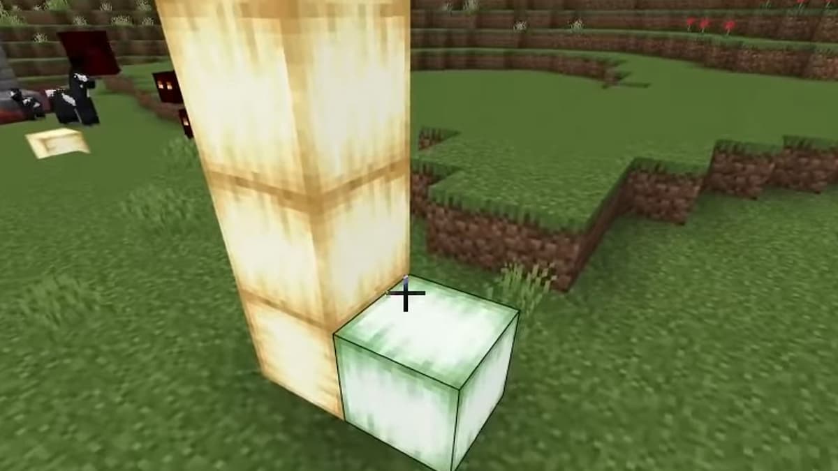 the wild case walkthrough the wild case walkthrough