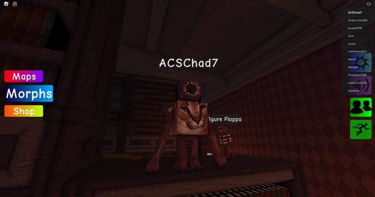 How to find the Figure Floppa in Find the Floppa Morphs Gamer Journalist