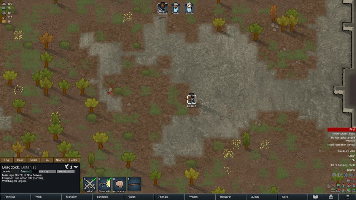 hare shot at rimworld